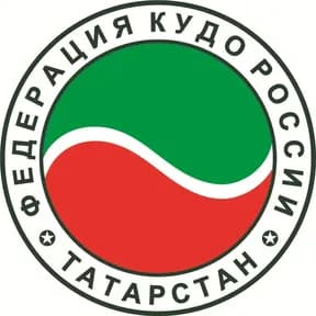 Федерация кудо России в республике Татарстан